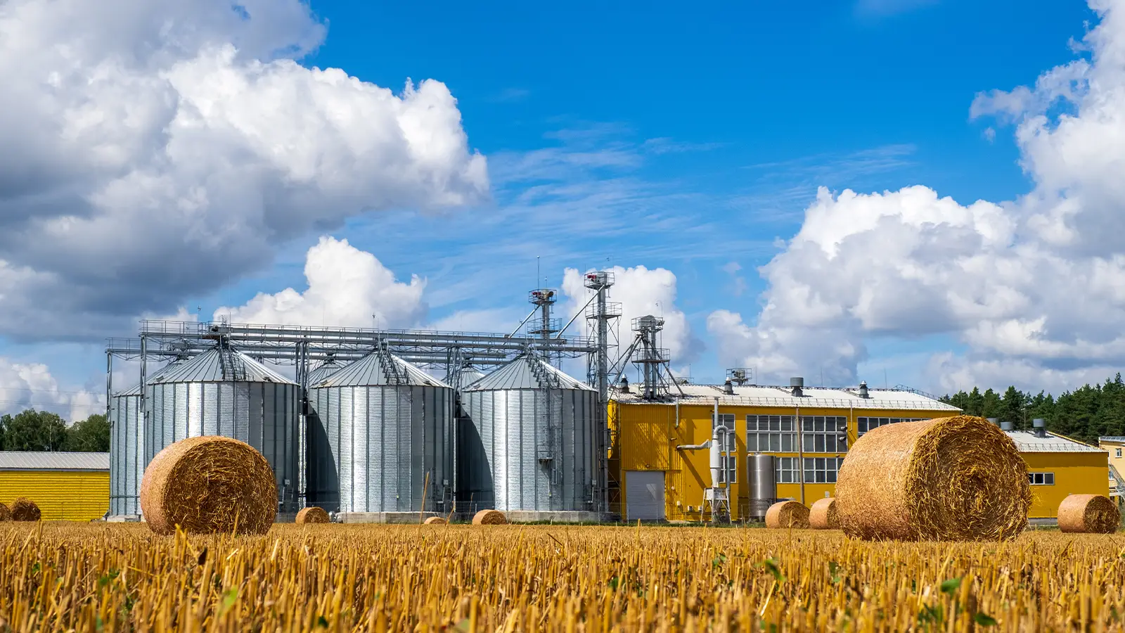 Sra Métier Agro Paysage
